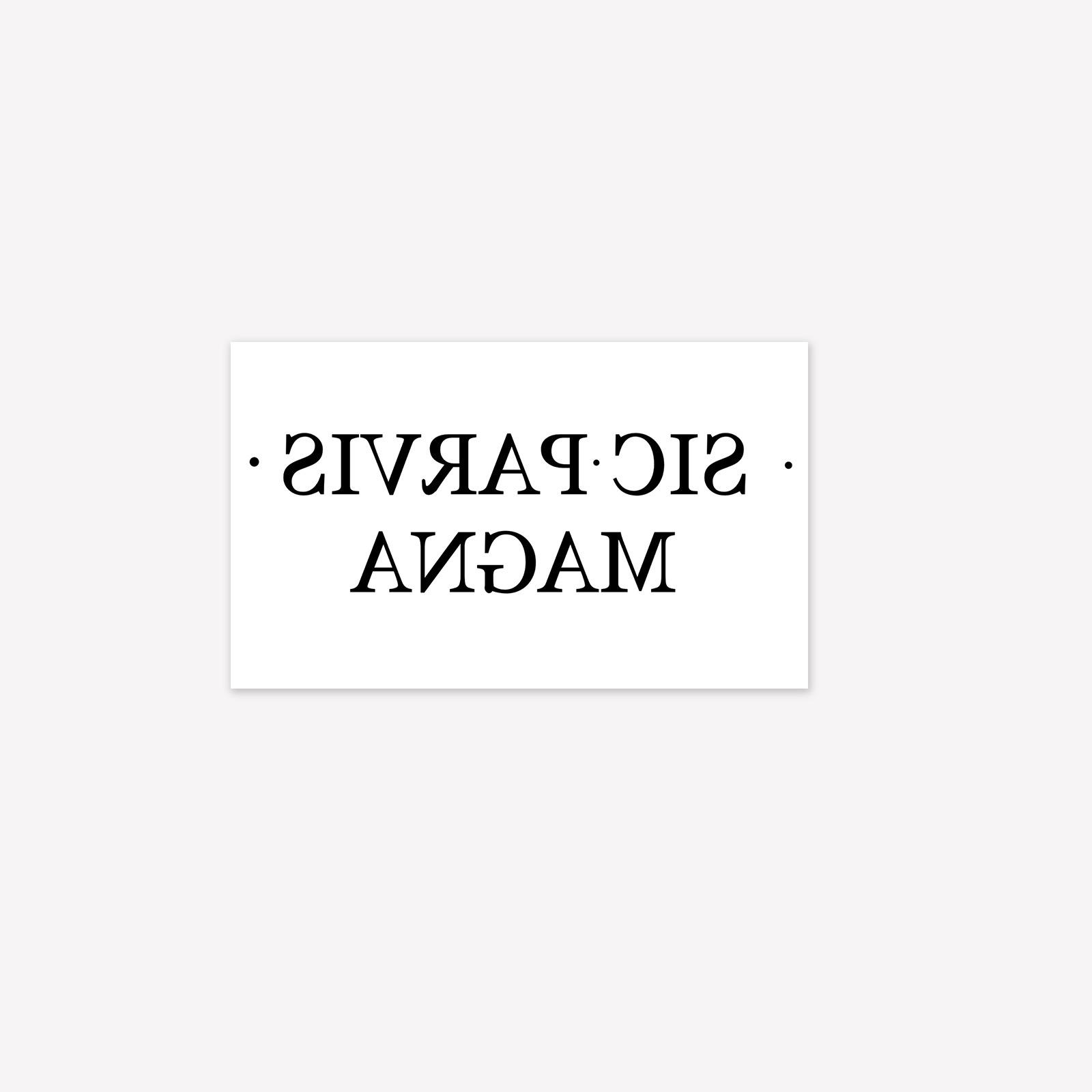 

Водонепроницаемая и долговечная тату-наклейка Sic Parvis Magna (лат. «От малого — великое»), модель для руки, ретро-готический стиль 11*18