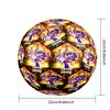 Lamine Yamal's Spain Champions Celebration Size 5 Soccer Football Machine Sewn Indoor/Outdoor Training and Matches perfect gift for sports enthusiasts