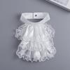 Lace Jabot Collar Victorian Theme Party Neckwear Cosplay Accessory Collar for Halloween Teaparty Dressingup Neckpiece