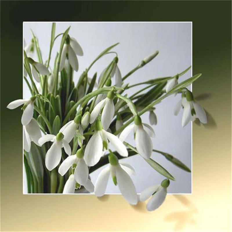 Diamond Painting Animal Cross Stitch Diamond Embroidery Cartoon Full Drill Display Diamond Mosaic Kit Scenery Art