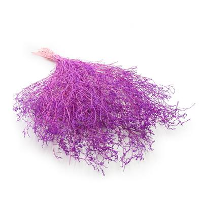 Dried Broadleaf Sea Lavender - Limonium Latifolium - Dyed - Lilac