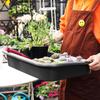 A Top-quality Garden tidy potted tray, indoor transplant gardening planting accessories large succulent plant table