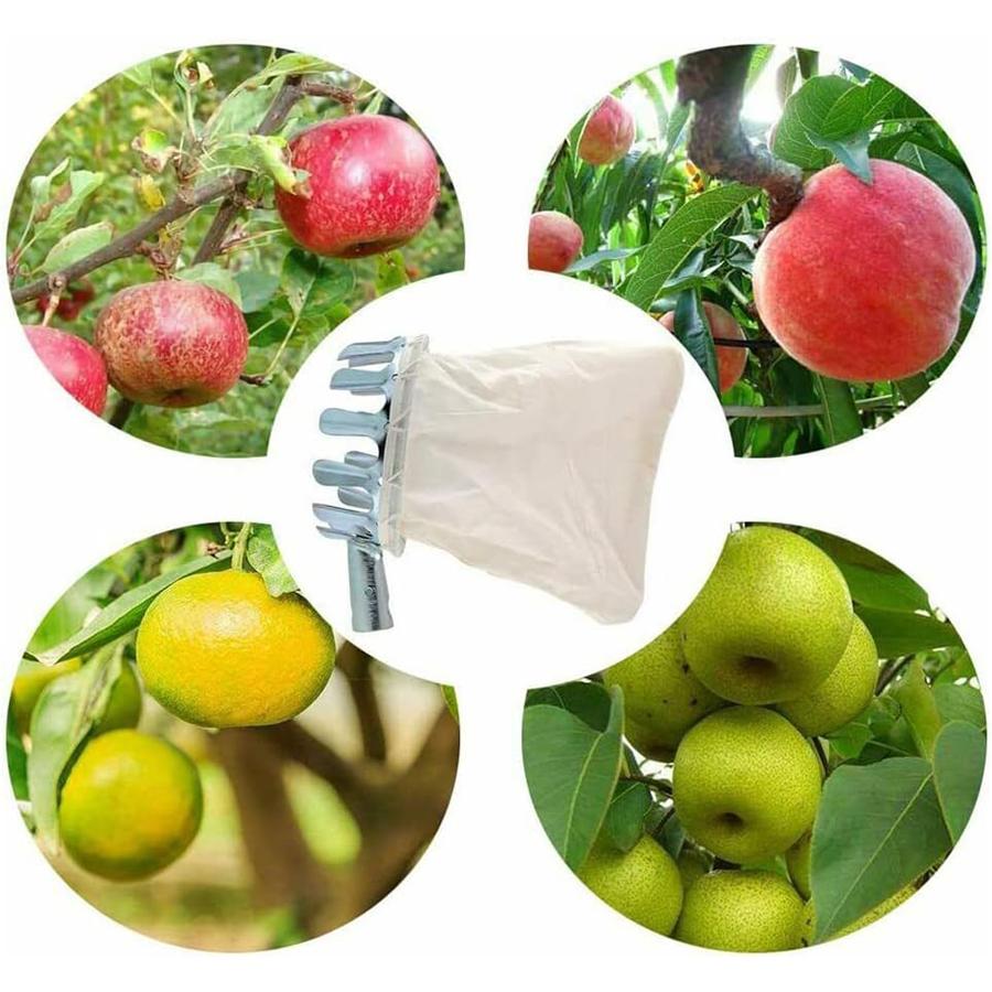Fruit Picking Tools Hand Olive Gardening Accessories Collect Tool From the Tree Persimmon Picker Fruits Collector Farm Equipment