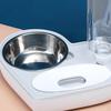 Bowl Set Pets Automatic Water Food Dispenser Pet Feeder