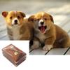 Create Special Place of Remembrance for Departed Pet with Wood Pet Remembrance Urn Box To Preserve Beautiful Memories