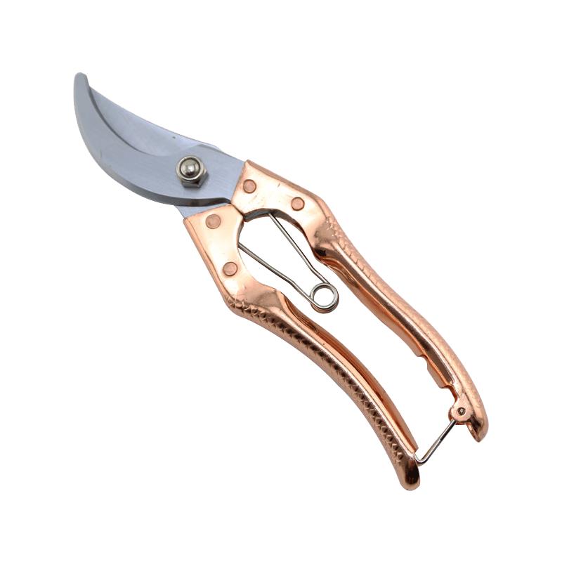 Berry Lion Pruning Shears