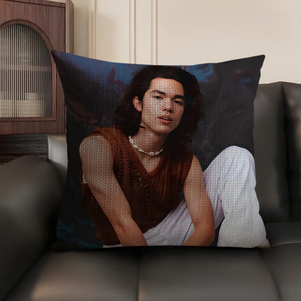 Singer CConan GGray Cushion Cover Natural Linen Organic Fabric DoubleSided Printing Sofa Home Decor Gift Pillow Case