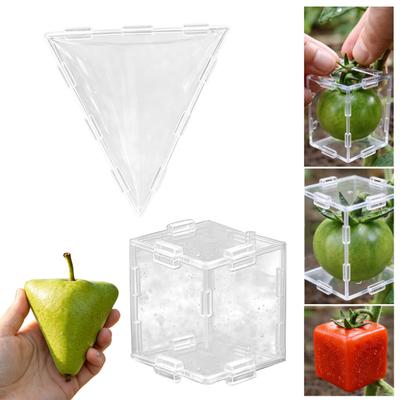 Fruktformningsform för att odla unika triangulära kubiska frukter Transparent plastform Återanvändbar form för grönsaks- och fruktodling för tomat jordgubbe