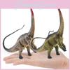 Herbivorous Dinosaur Diplodocus Pvc Figure For Home Office Display