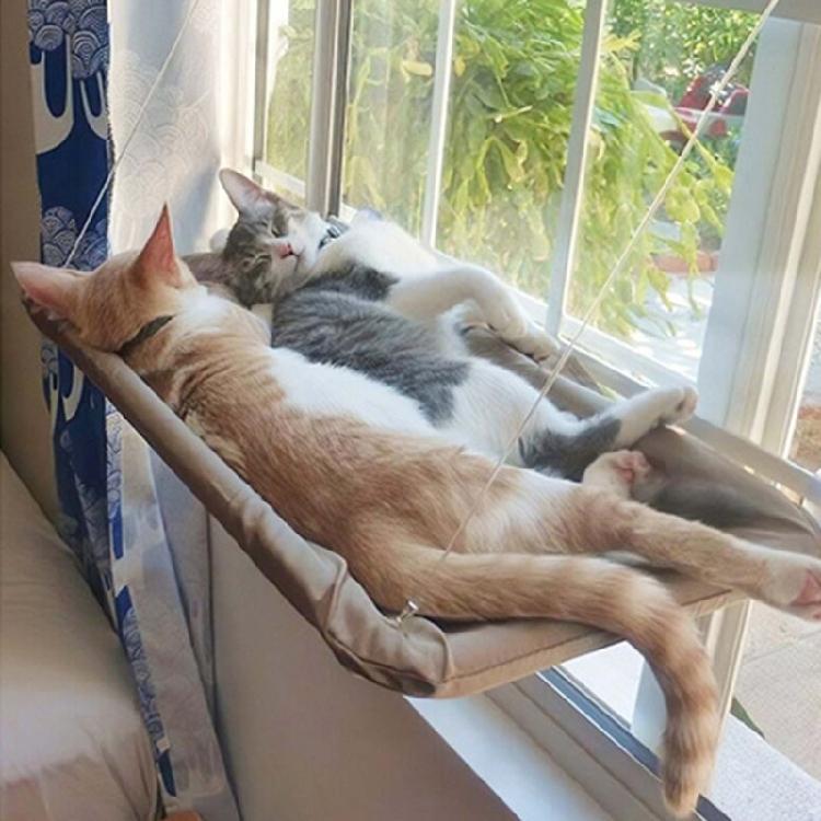 Suction Cup Cat Hammock Window Cat Hanging Bed Window Cat Bed Shelf Washable