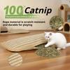 Multi Functional Cat Scratch Pad Toy Pillow Chew Resistant Cat Bed Soft Mosquito Repellent Pet Interactive Toy