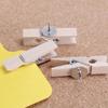 20Pcs/Box DIY Wooden Clip Push Pins Reusable Pushpins with Clips Decorative Studs  Stationery