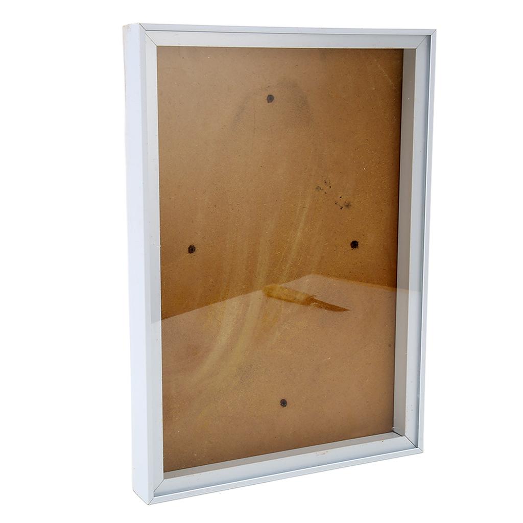 Picture Frame with Bracket Easy to Disassemble Plastic Decorative Photo Frame for Dried Flowers Shells