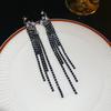 Silver Needle Feather Fringed Earrings Long Light Luxury Atmospheric Stud Earrings Personalized Design Earrings