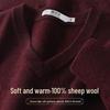 Men's 100% Merino Wool V-Neck Pullover Sweater