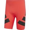 Partea de jos – Pantaloni de trening și colanți