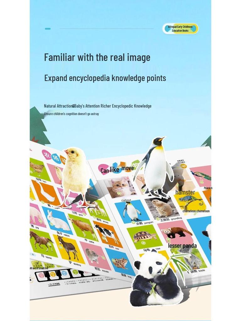 Bilingual Audio Book Learning Toy: Interactive Early Education Machine for Children