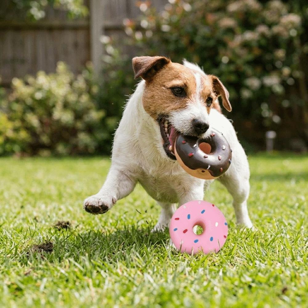 2 Pezzi Giocattolo Donut in Lattice Premium per Cani Giocattolo Donut Squeaky da Masticare per Cani Gioco Interattivo