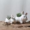 Japanese-Style Groceries New Gardening Flower Pots, Creative Office Desktop Potted Plants White Succulent Flower Pots Ceramic