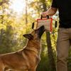 Dog Cushion, Toy, Multifunctional And Interactive Device