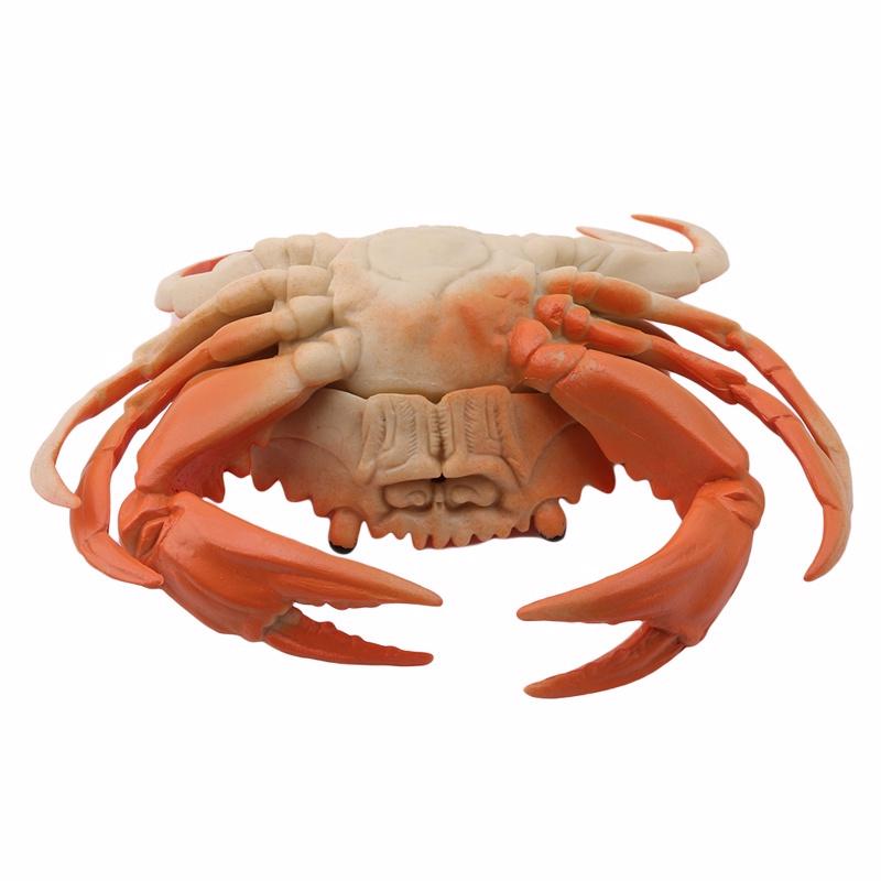 Simulation Écrevisse Crabe Jouet Enfant