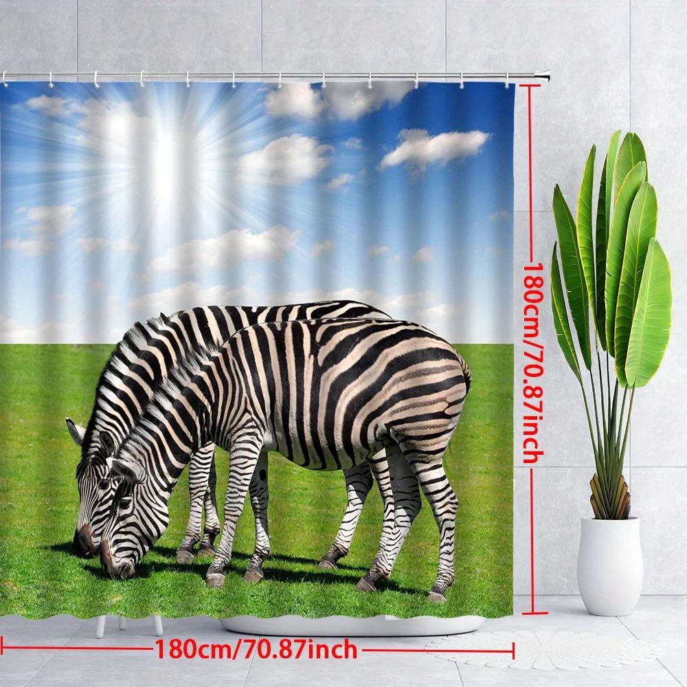 1pc Zebra Shower Curtain with 12 Hooks - Black-and-White Striking Zebra Design On Lush Green Field, 70. 87x70. 87 Inches, Polyes