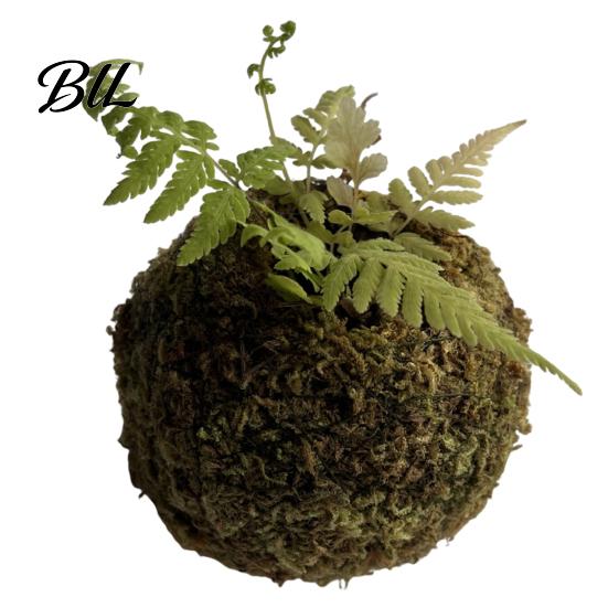 Humidity Maintaining Planter Moss Ball Flower Pot, Natural Green Bonsai Plant Holder, Decorative Spherical Pot for Home, Garden, Wedding Party