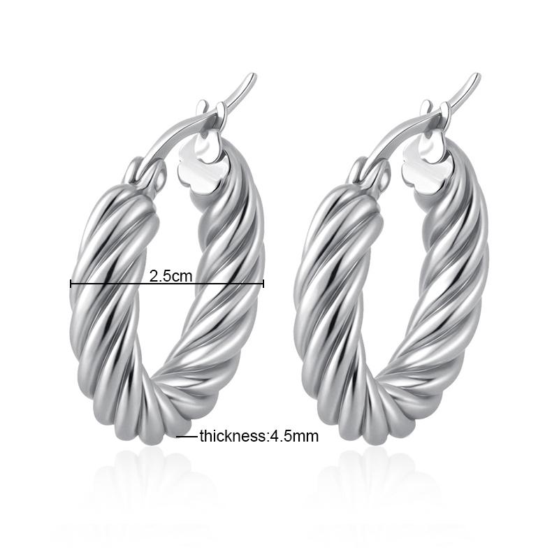 Classic Fashion Round Stainless Steel Twist Hoop Earrings For Women 4.5mm Thick Ear Buckle Gold Copper Color Earrings Zircon
