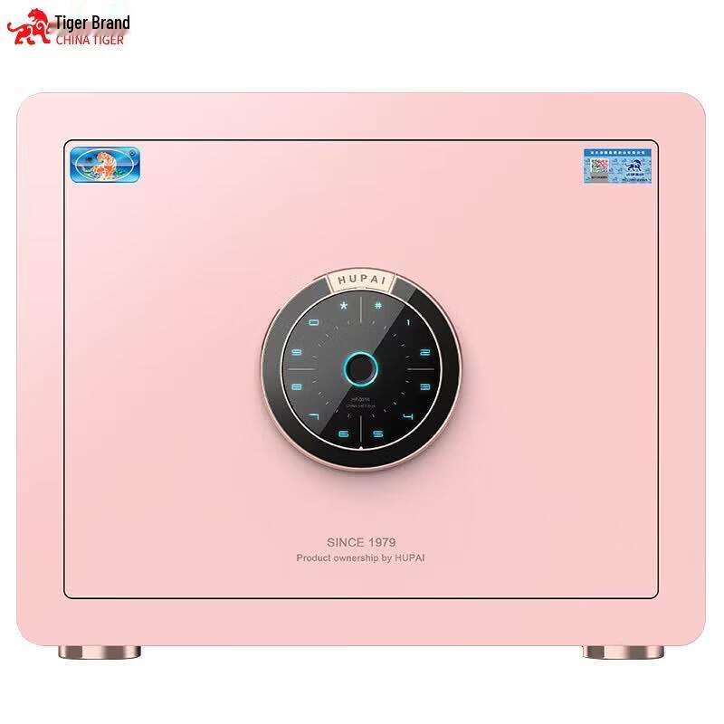 TIGER Small All-Steel Fingerprint Home Office Safe