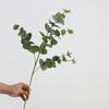 Realistic Artificial Eucalyptus Leaves Real Touch Green Stems High Quality Eucalyptus for Home Wedding Floral Arrangement