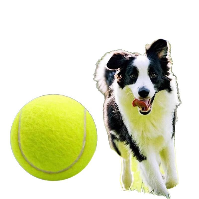 Pet Toy Tennis Dog Grinding Teeth Rebound Elastic Ball Outdoor Training Ball Interactive Toy Puppy