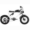 MEELOD DK300PLUS Adult Electric Bicycle 750W Motor 48V20Ah Battery Electrical Road Bike 20" Fat Tire Retro Urban Commuting Mountain E-Bike