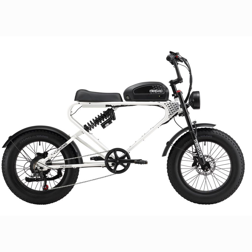 MEELOD DK300PLUS Adult Electric Bicycle 750W Motor 48V20Ah Battery Electrical Road Bike 20" Fat Tire Retro Urban Commuting Mountain E-Bike