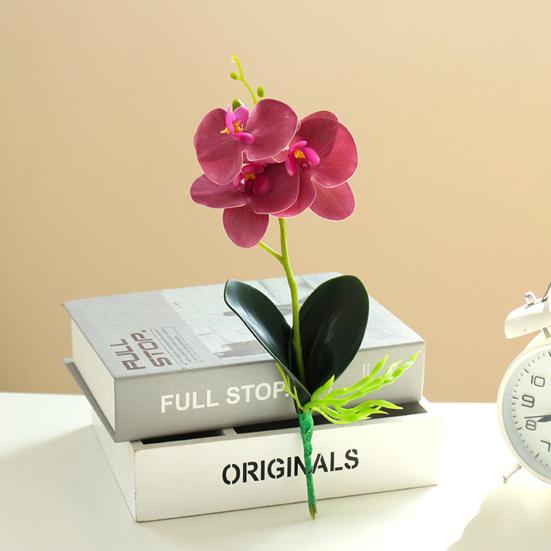 Useful Simulation Phalaenopsis Not Withered Luxury Decorate