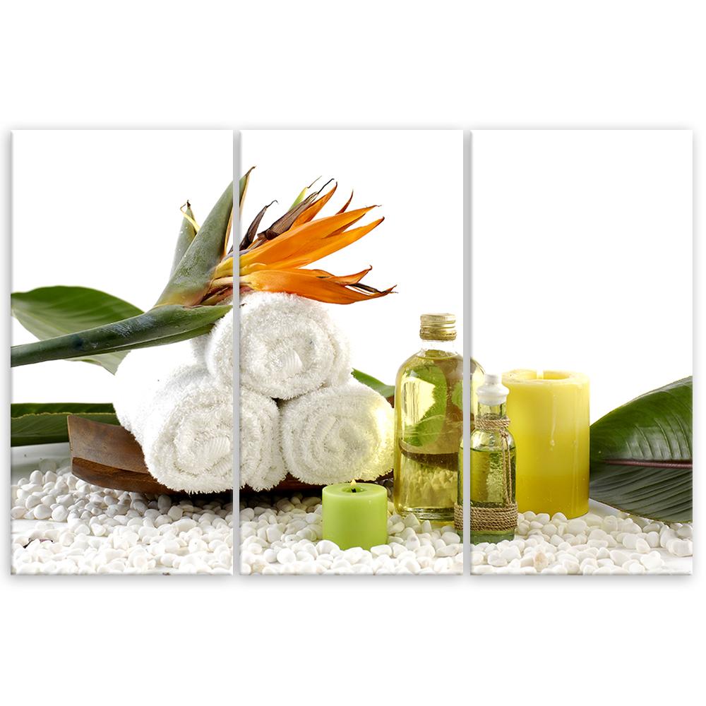 Three Piece Picture Canvas Print Towel Flowers Oil