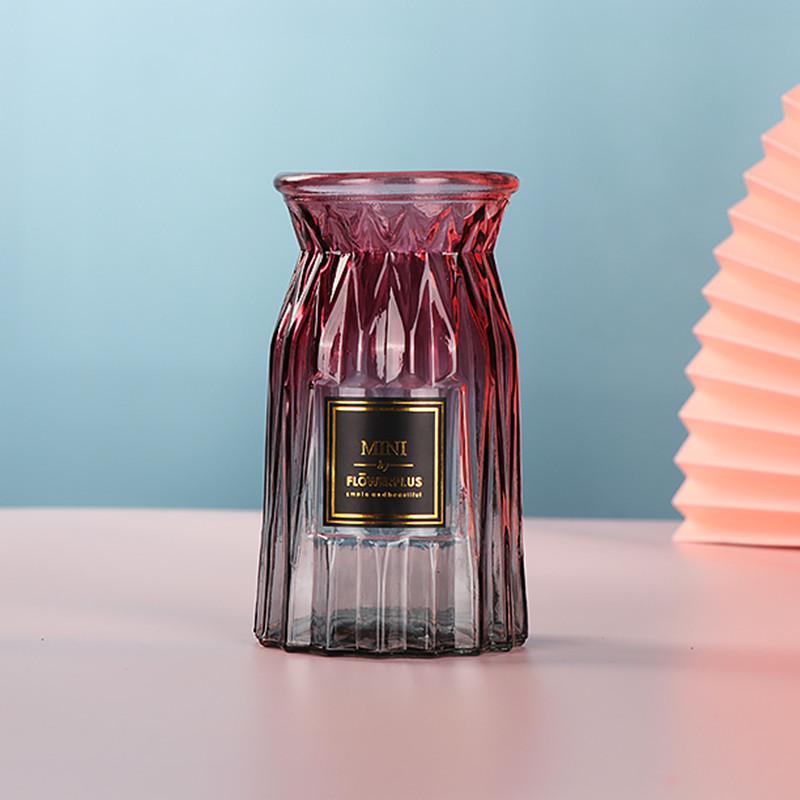 European Glass Vase for Fresh or Dried Flowers - Simple, Creative Home Decor Ornament