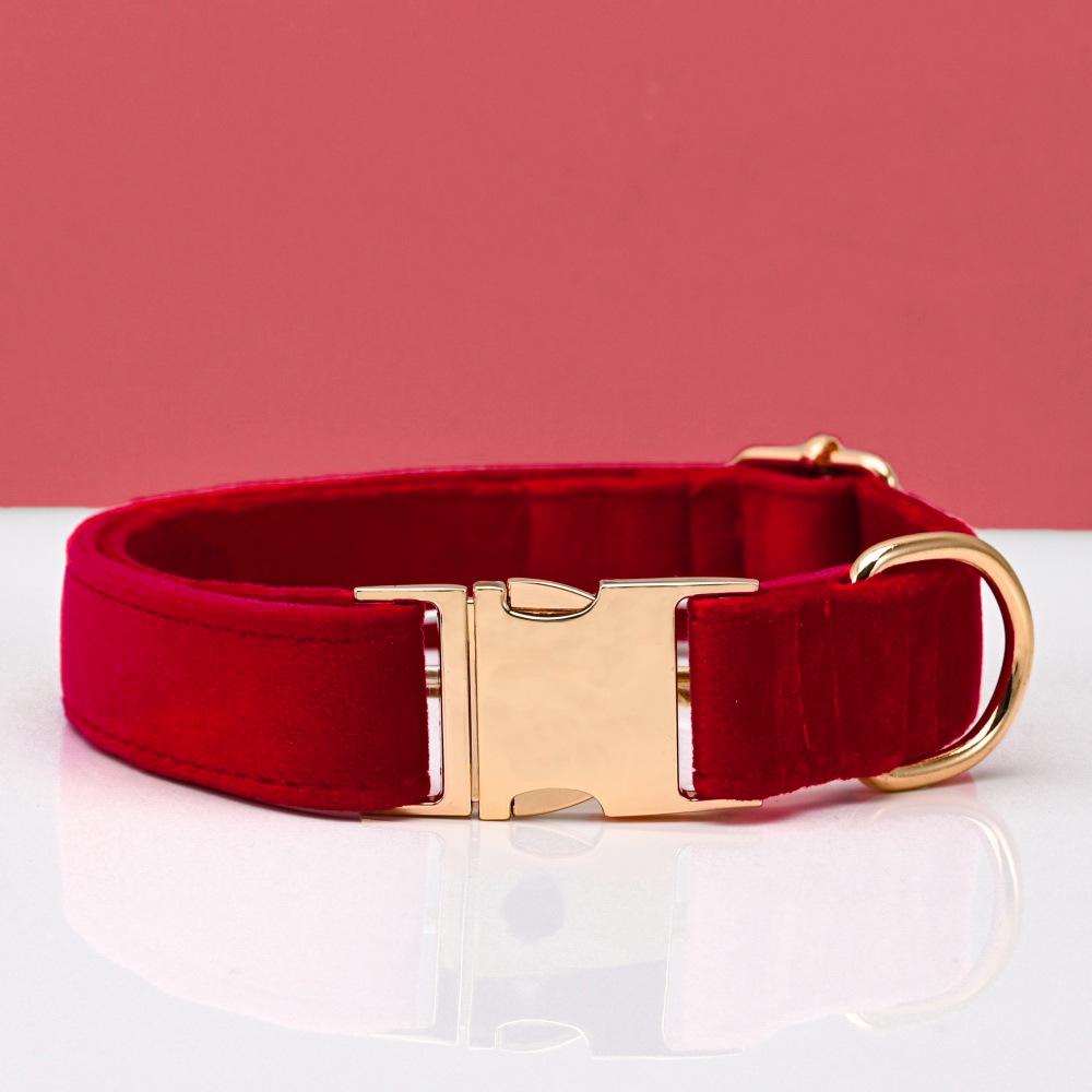 Ensemble collier et laisse pour chien en velours gravé avec boucle métallique réglable