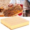 Plastic Bee King Incubator Free Move Harmless Breeding Box Beekeeper Beekeeping Tool