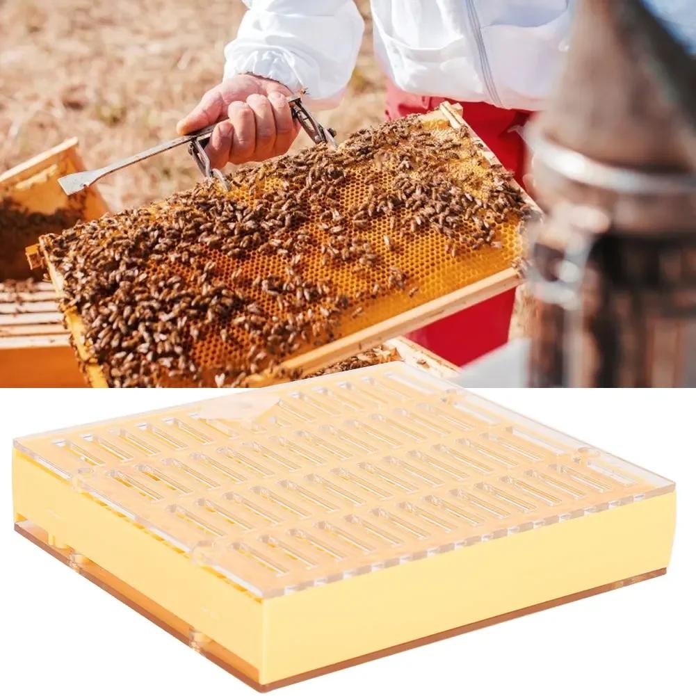Plastic Bee King Incubator Free Move Harmless Breeding Box Beekeeper Beekeeping Tool