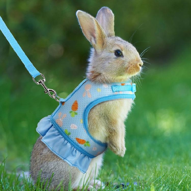 Kaninchen Geschirr und Leine Kleintierkleidung für Kaninchen Meerschweinchen Kleintier