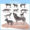 Predator Gray Wolf Pvc Model With Detailed Design For Kids Playroom Or Educational Use