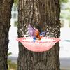 Outdoor Bird Bath Feeder Tray Durable Construction Easy To Clean Simple Installation Detachable Hummingbird Birdbath Bowl