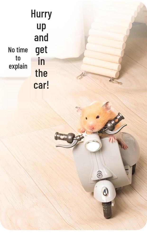 Celebrity-Inspired Hamster Stunt Motorcycle: Electric Tricycle Toy with Rotating Dazzling Skills