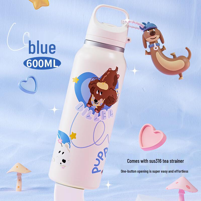 Dillerbell Portable Insulated Stainless Steel Water Bottle