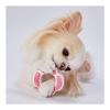 Petio Dog Toy Chewing Ring Dental Hard Ripe Strawberry Flavor