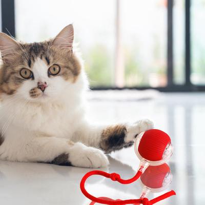 Electric Cat Ball Toy Self Rolling Ball Active Cats Hunting Toy Indoor Exercise LED Ball Toy Cat Motion Activated Toy