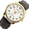 Casio BASIC ANALOGUE MENS MTP-V001GL-7B