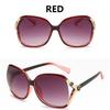 Ochelari de soare Camellia la modă europeană și americană, ochelari de soare eleganți cu umbrire UV, ochelari de soare mari cu față rotundă, ochelari retro subțiri.