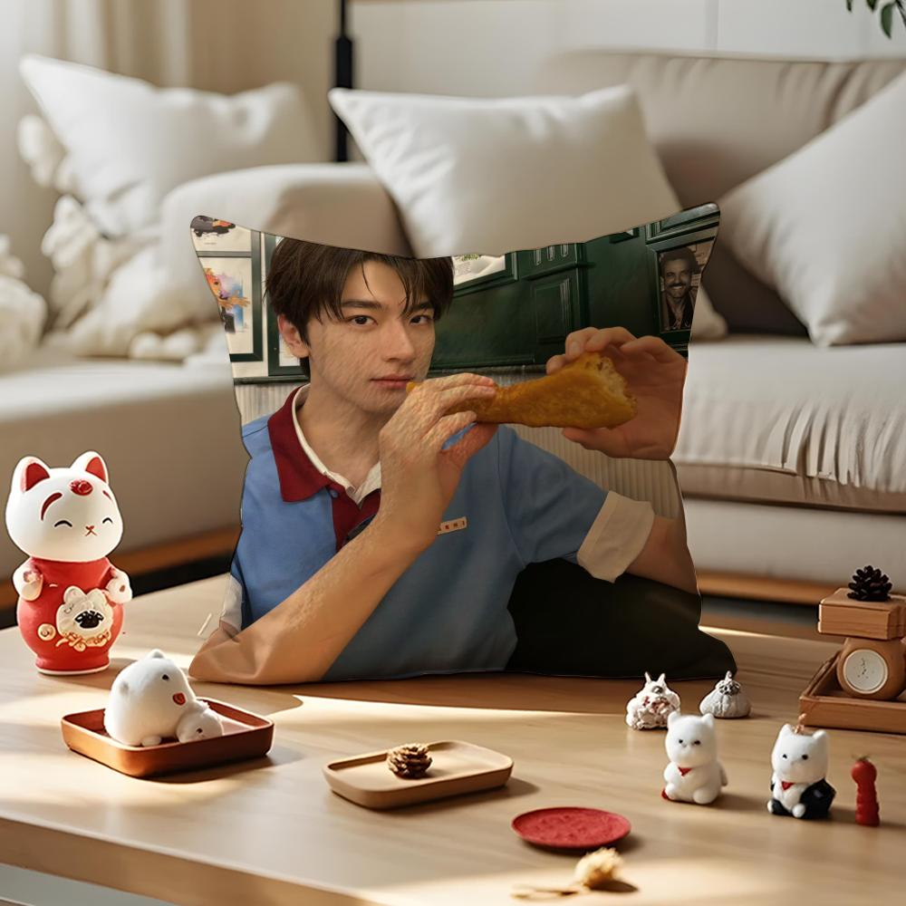 LinYi Chinese Actor Cushion Cover Anti-dustmite Pillowcase Invisible Zipper Silky Short Plush Sofa Cushion Cover