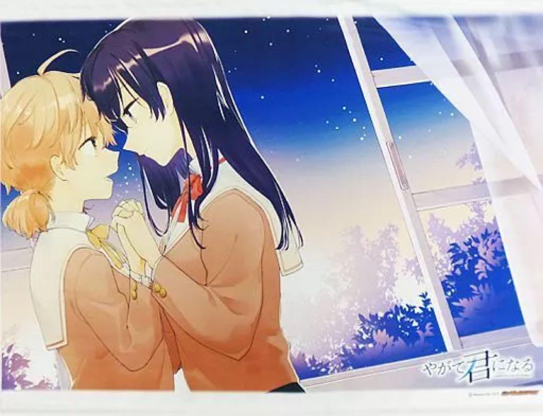 

[USED] Bloom Into You Gamers Limited Edition B2 Tapestry (2 Types)